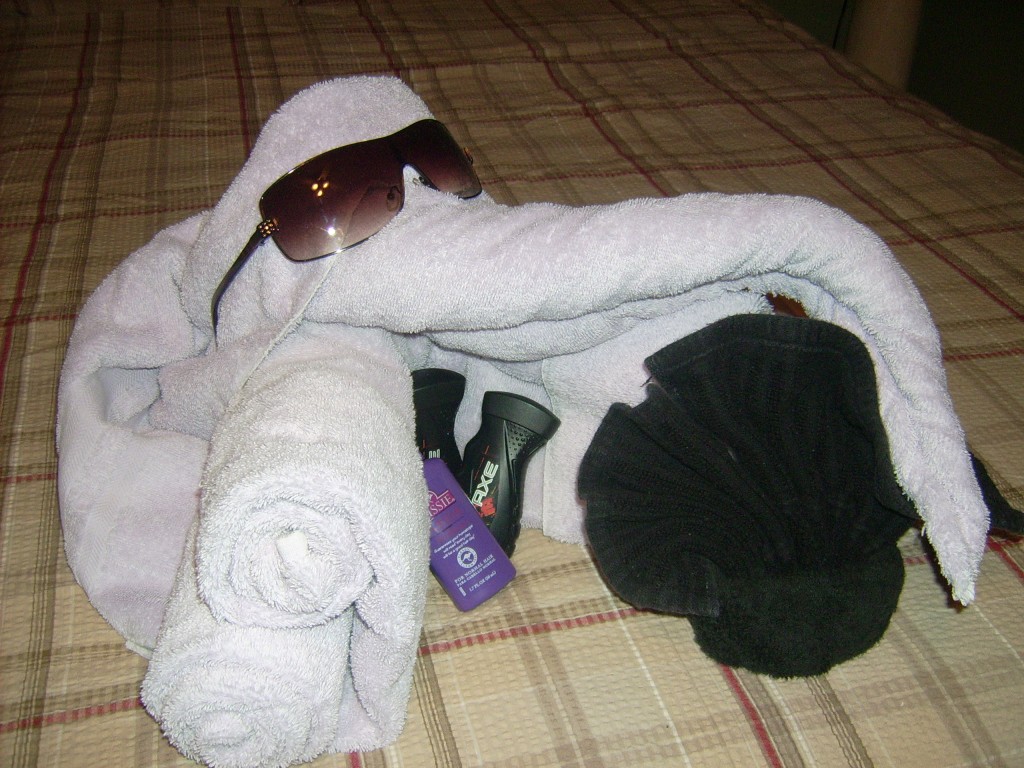 Elephant Towel