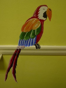 Jungle Theme Mural:  Parrot Close-up