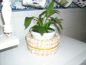 Custom Recyclable Corn Cob Basket