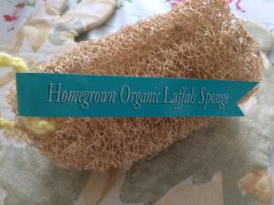 Homegrown Organic Luffah Sponge